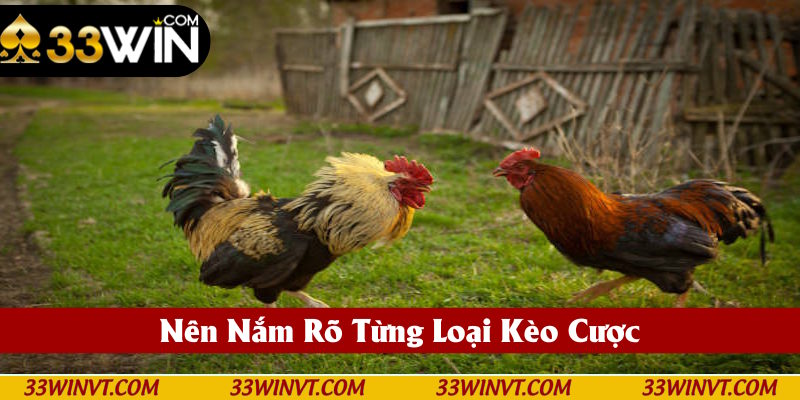 Người dùng nên nắm rõ các loại kèo cược