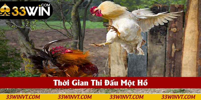 Sản phẩm quy định rõ thời gian trong một hồ