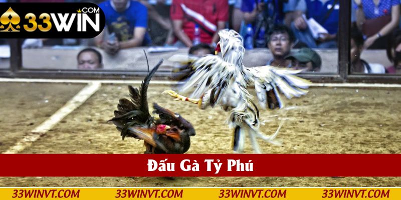 Đấu gà Tỷ Phú