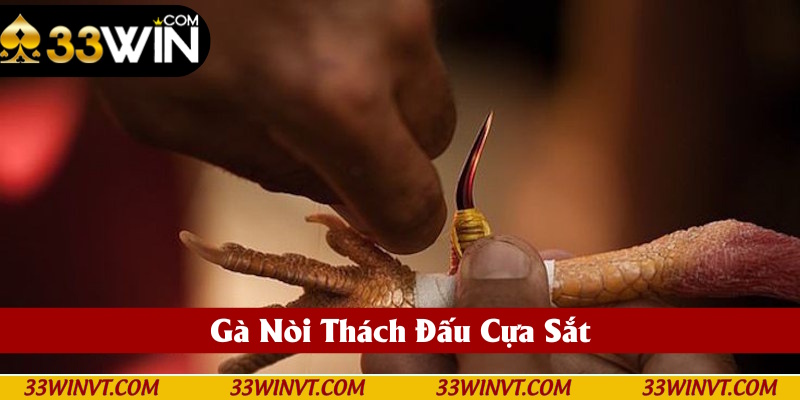 Phiên bản cựa sắt cuốn hút thành viên