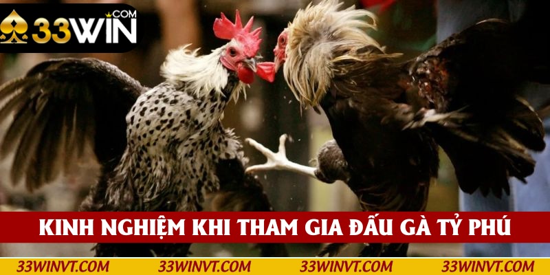 Những chiến lược đặt cược hiệu quả