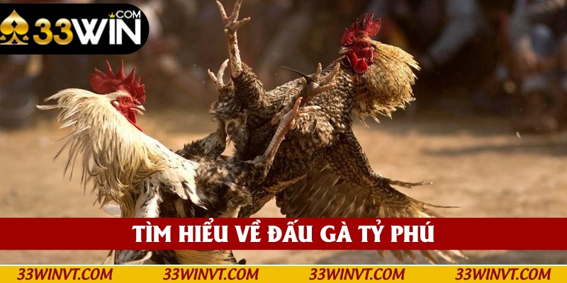Giới thiệu về đấu gà Tỷ Phú