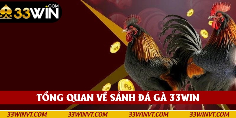 Giới thiệu sảnh đá gà 33win