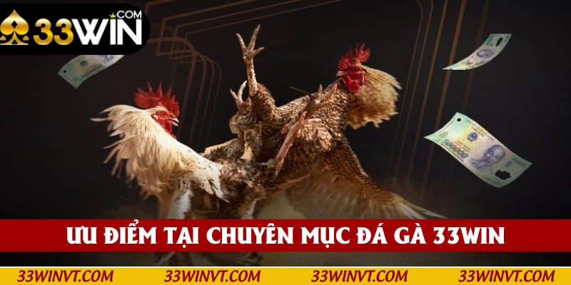 Tham gia với đa dạng mức cược